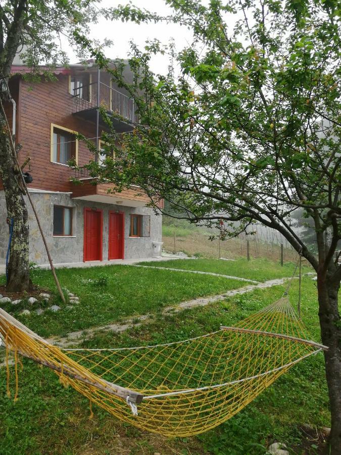 Ayder Palas Apart Hotel Екстер'єр фото